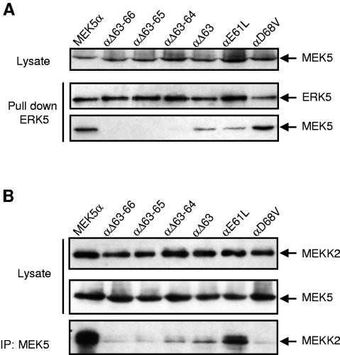 FIG. 5.