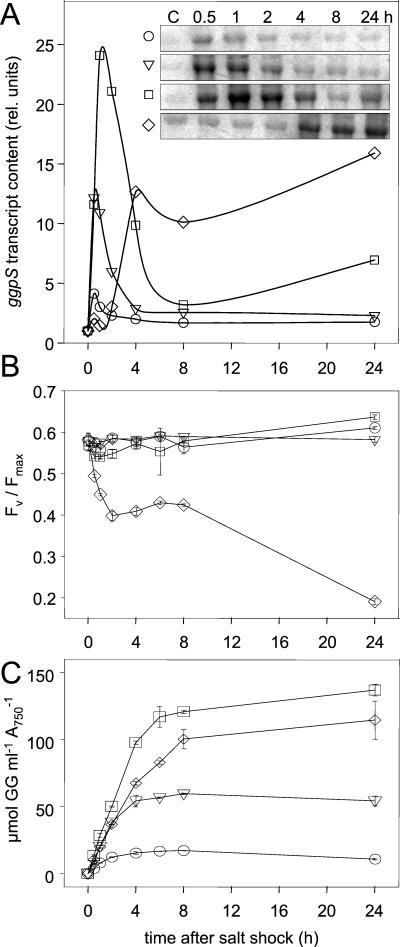 FIG. 4.