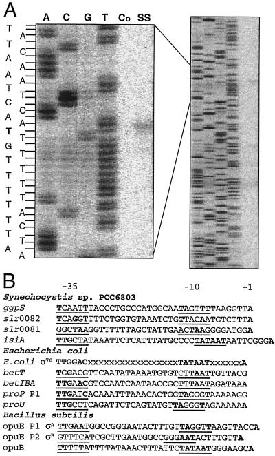 FIG. 5.