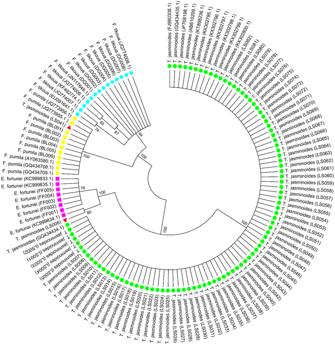 Figure 3