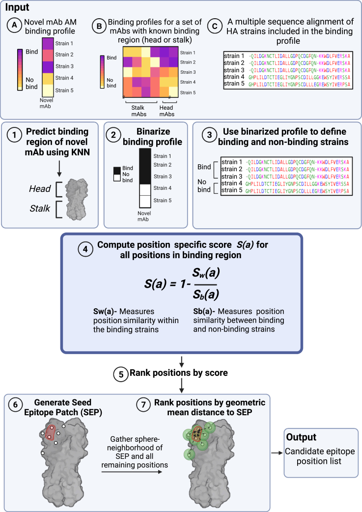 Figure 4