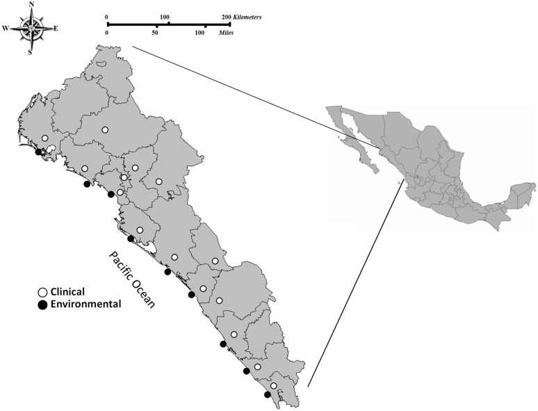 FIGURE 1