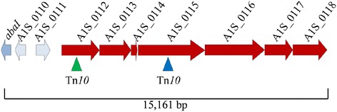 Fig. 3