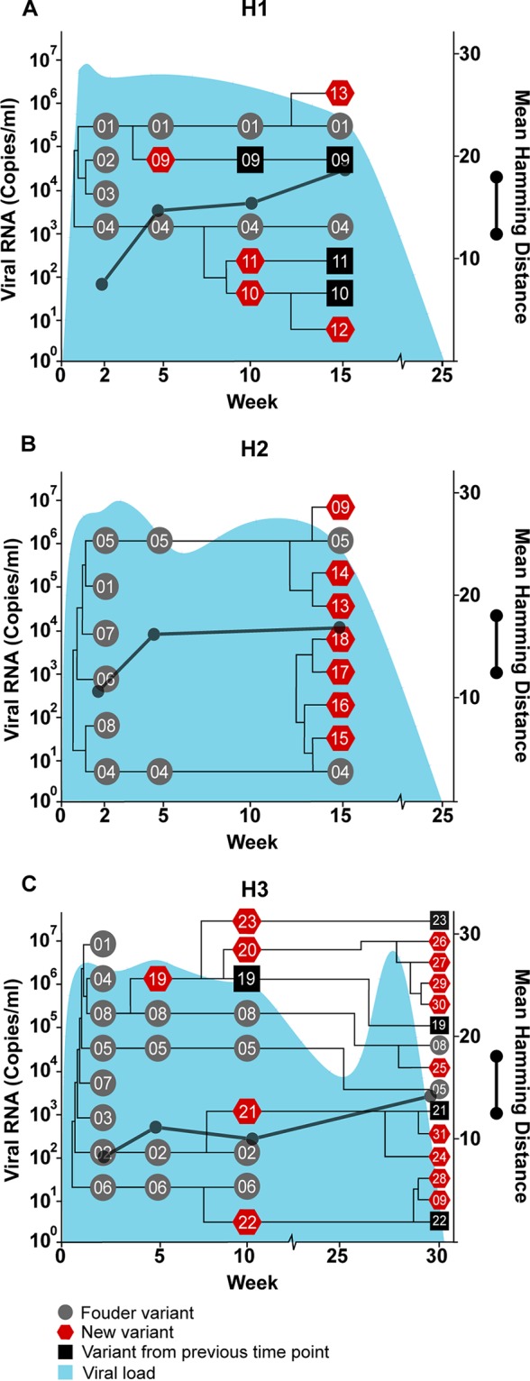 FIG 2