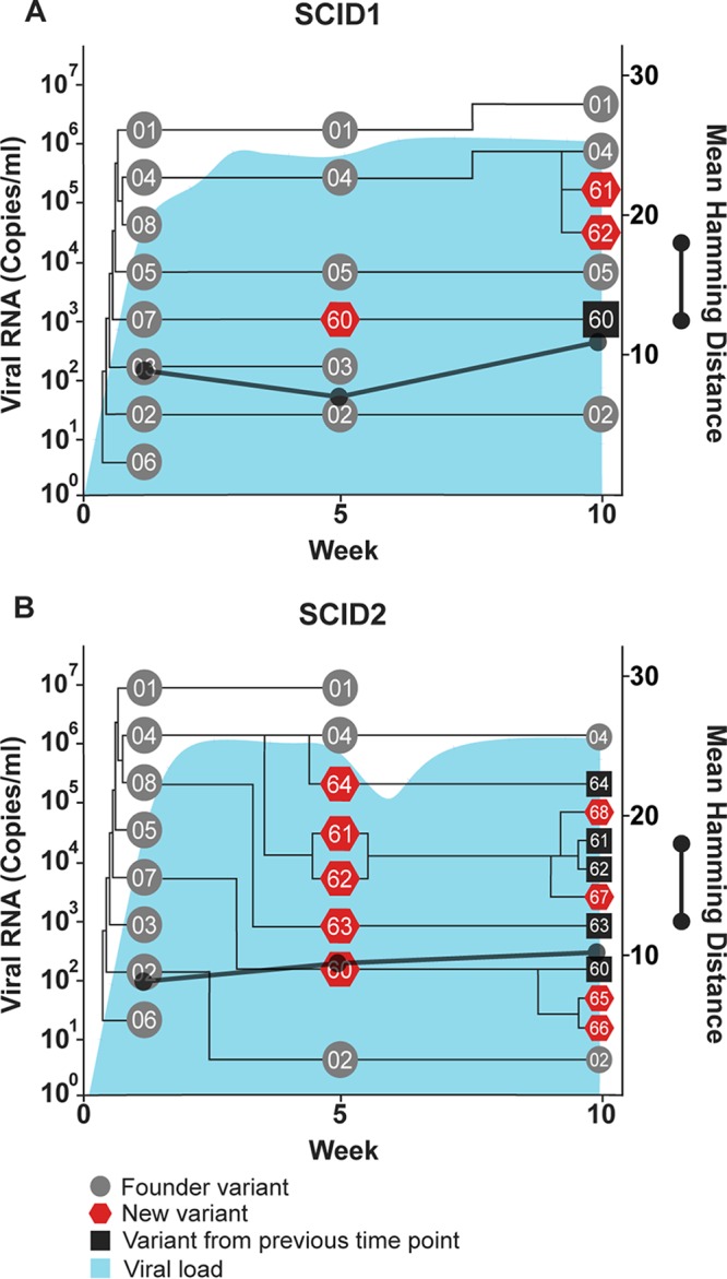 FIG 7