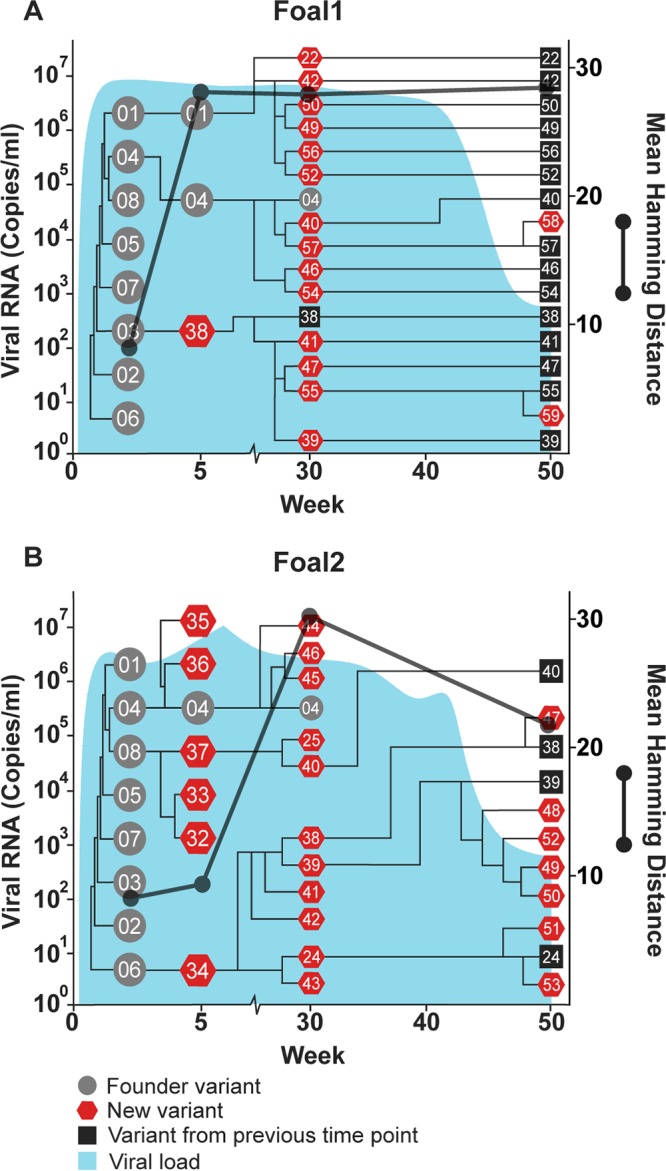 FIG 4