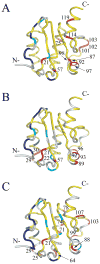 Fig. 7