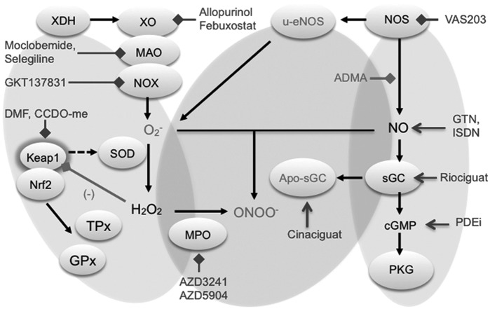 FIG. 4.