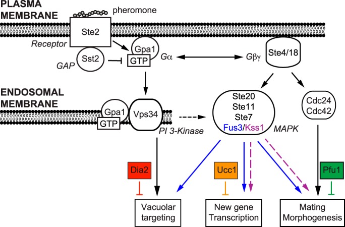 Figure 6.