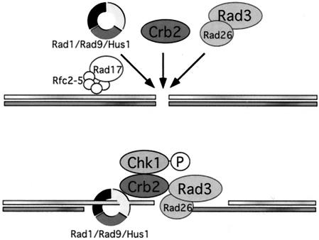 FIG. 7.