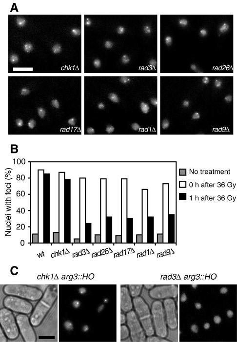 FIG. 5.