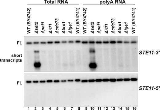 FIGURE 4.