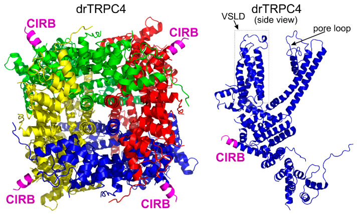 Figure 5