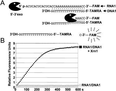 FIGURE 1.