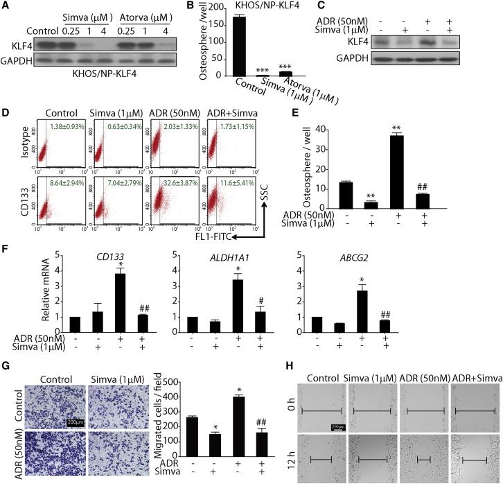 Figure 6