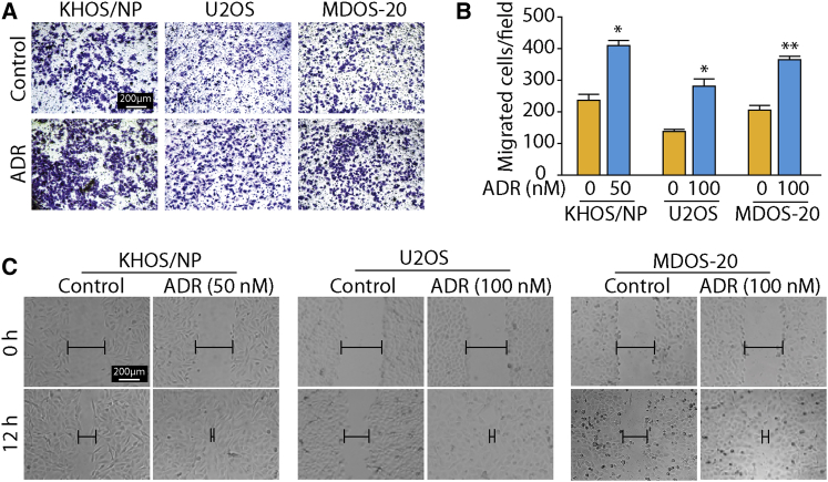 Figure 2