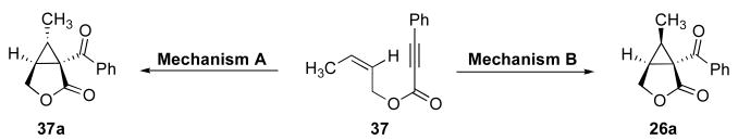 Scheme 9