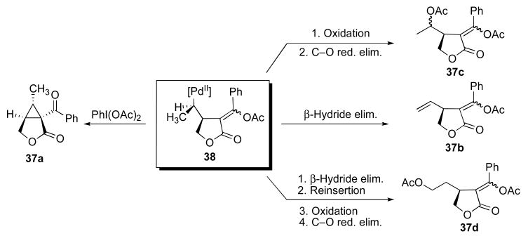 Scheme 7