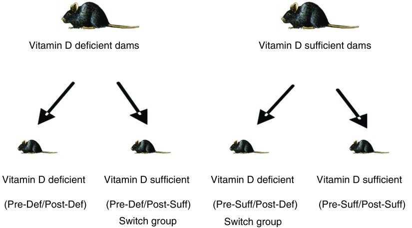 Figure 1.