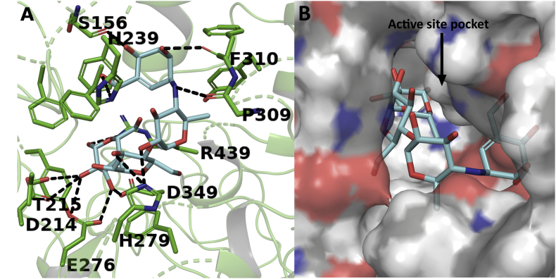 Figure 15