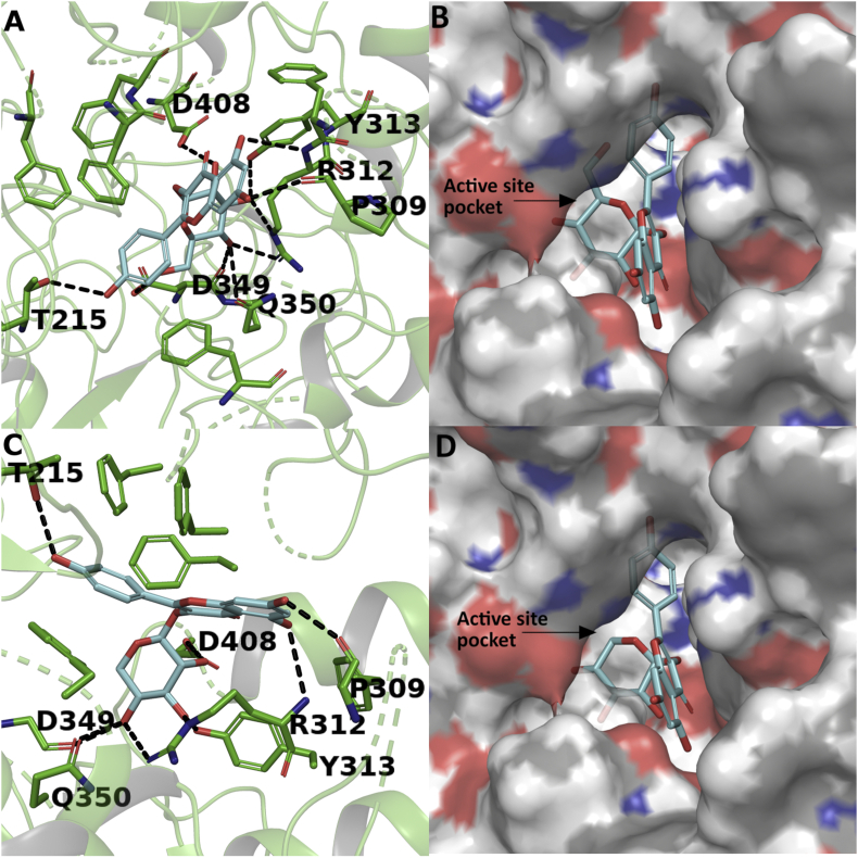 Figure 13