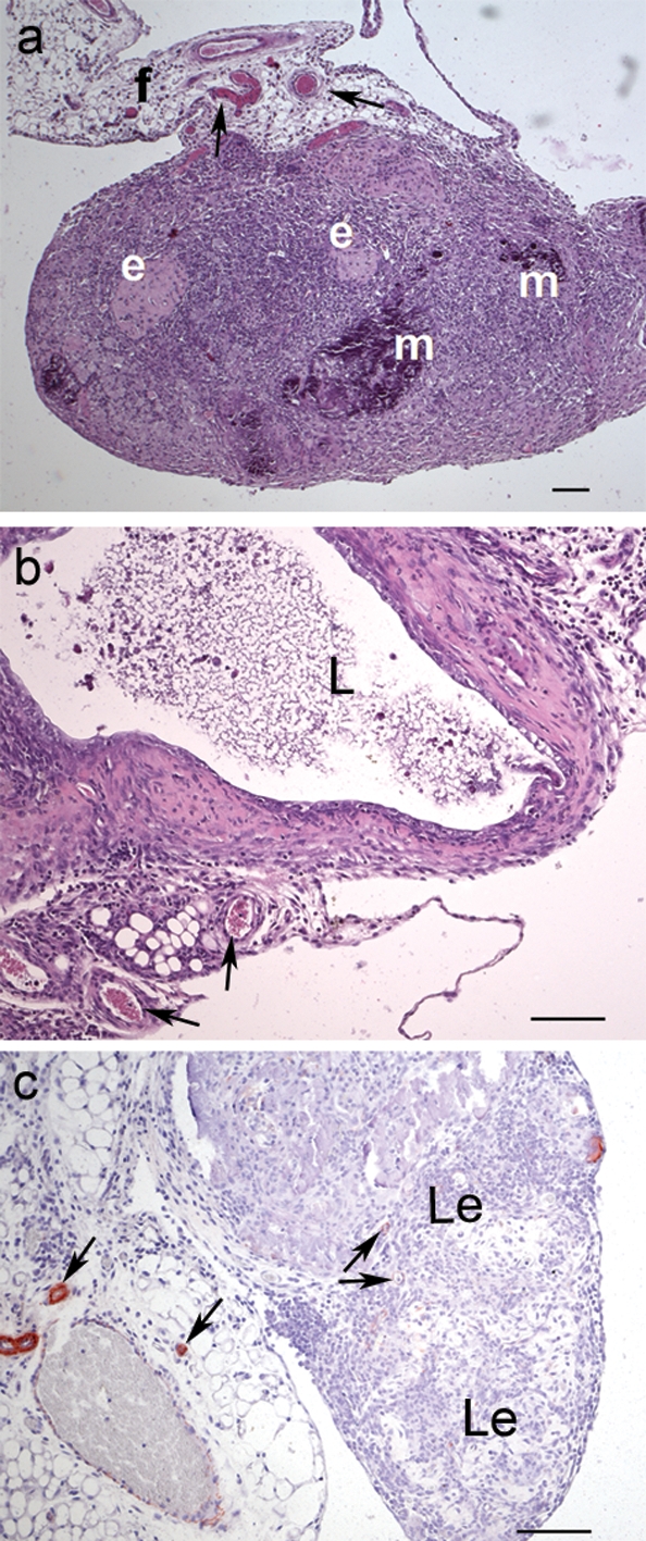 Figure 5: