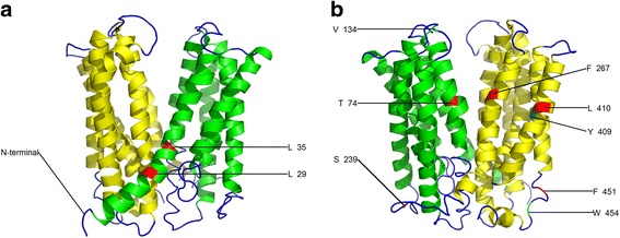 Fig. 6