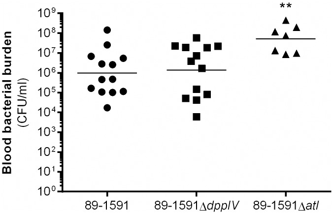 Fig 5