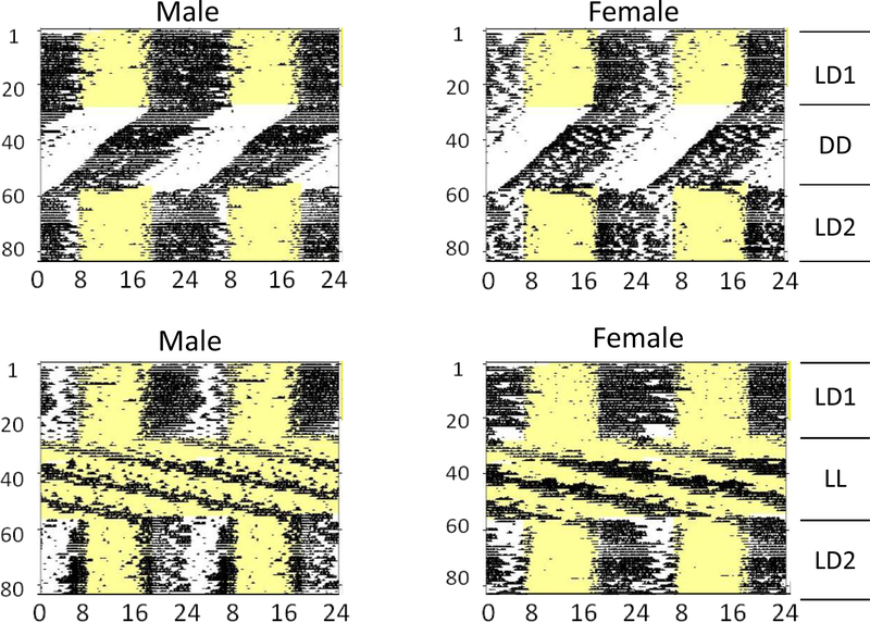 Figure 5.