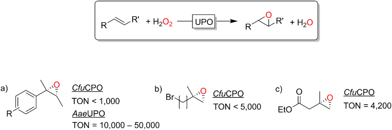 Fig. 10