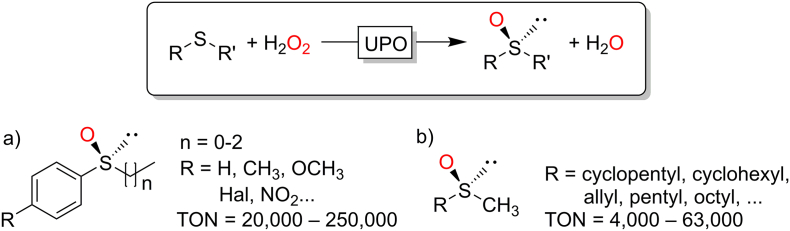 Fig. 12