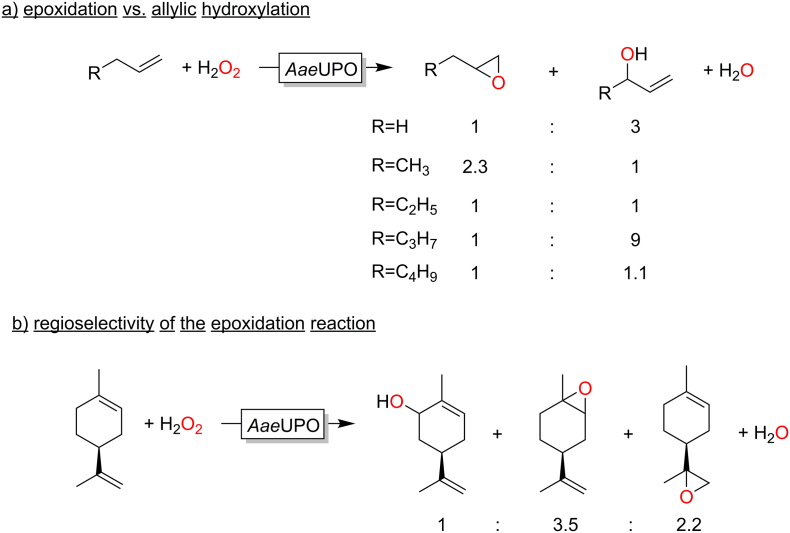 Fig. 11