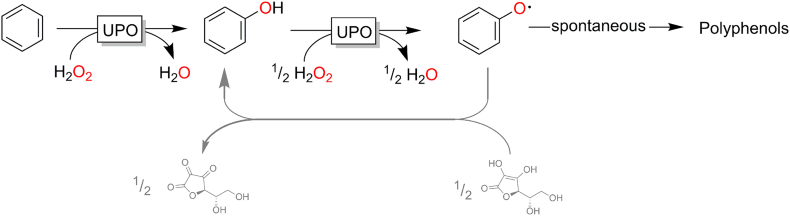 Fig. 9