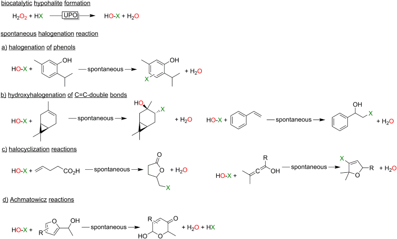 Fig. 13