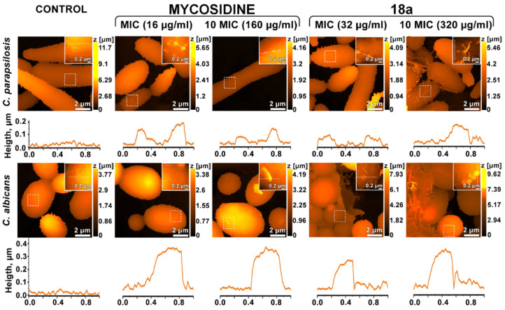 Figure 6