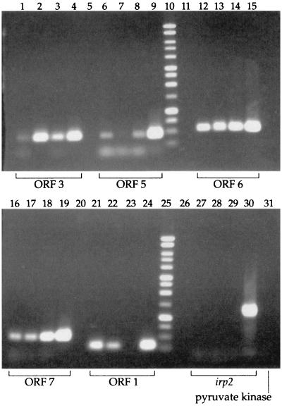 FIG.2.