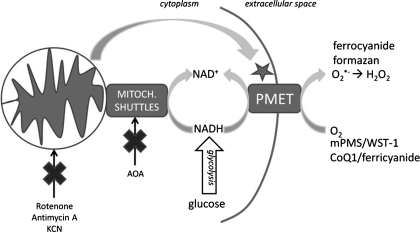 Fig. 7.