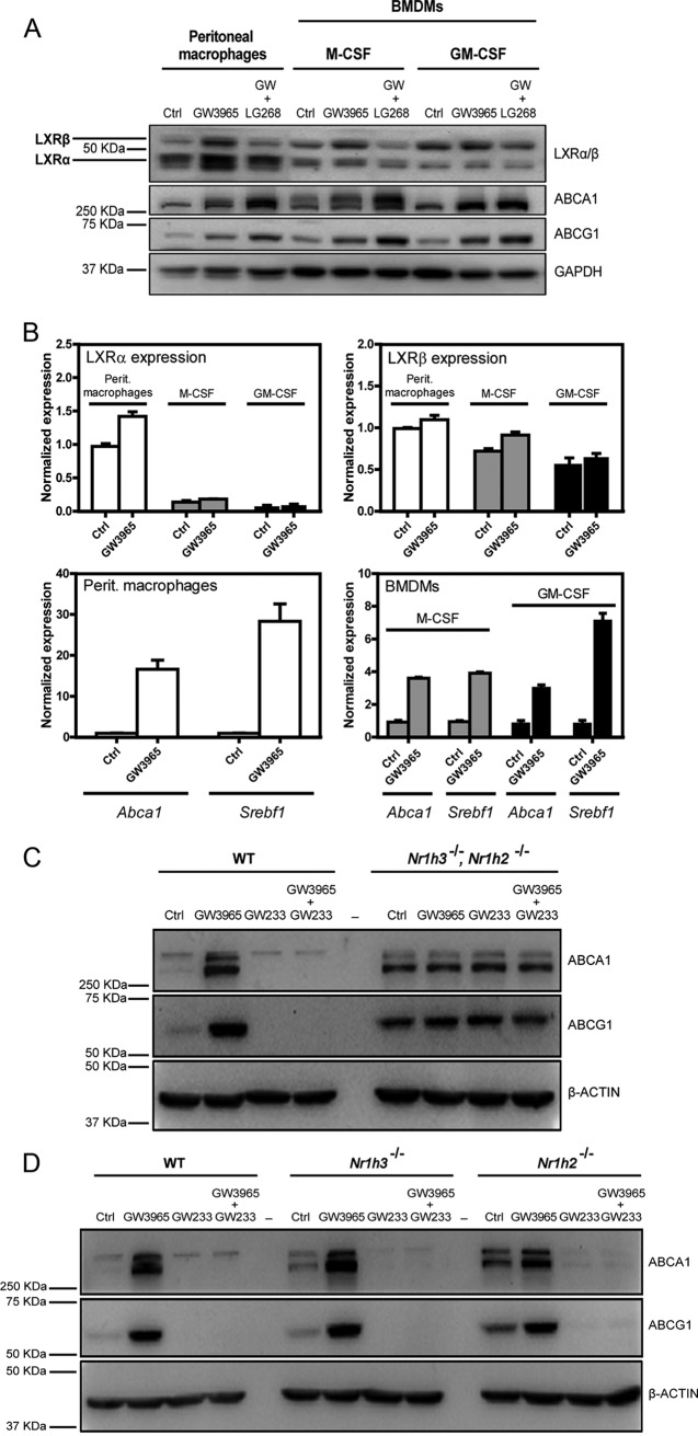 FIG 1