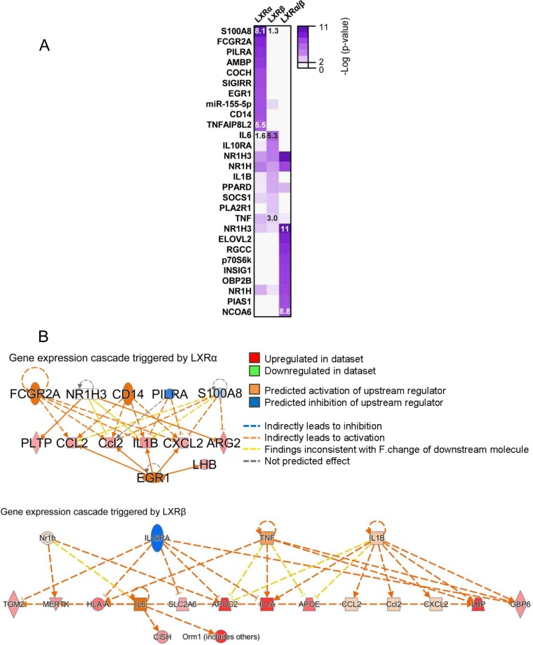 FIG 8