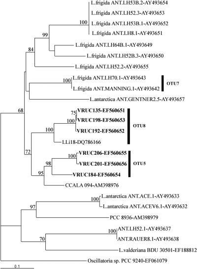 FIG. 7.