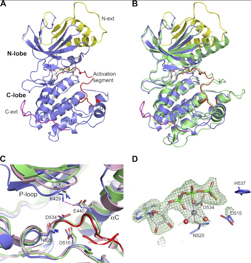 FIGURE 2.