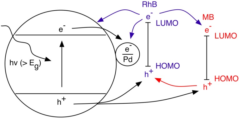 Figure 8