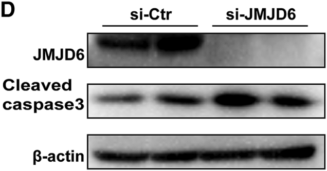 Figure 7D