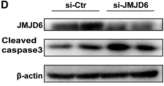 Figure 7D