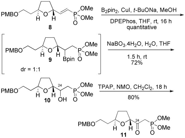 Scheme 3