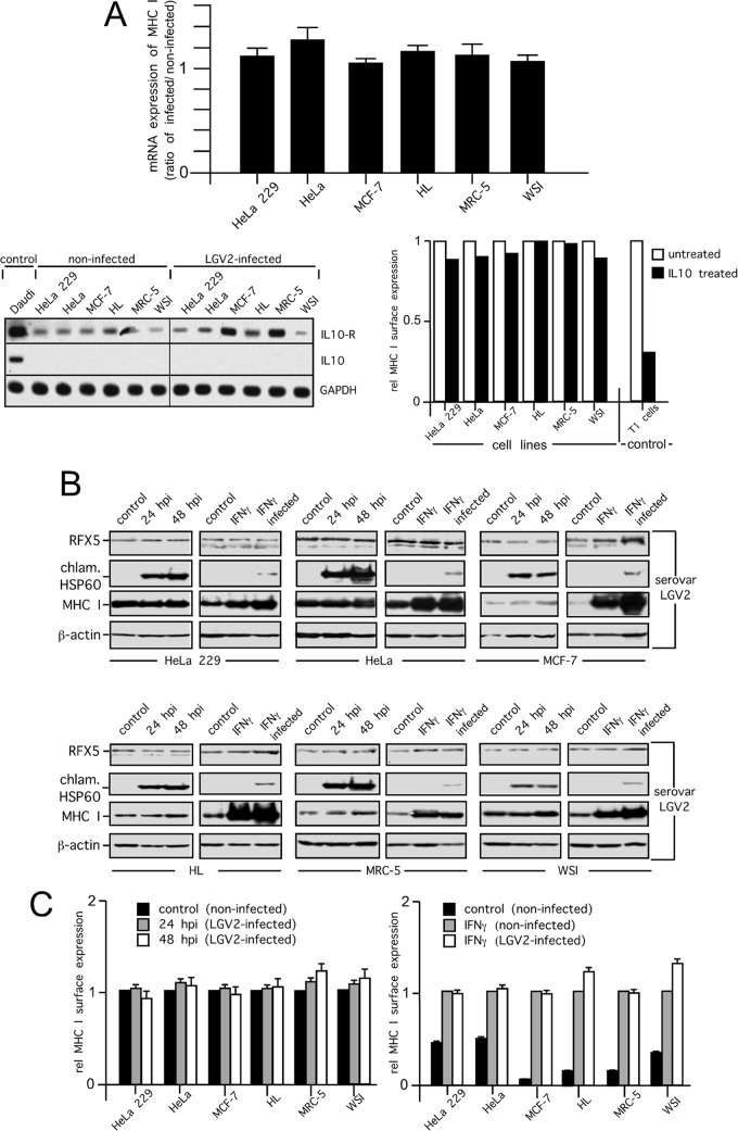 FIG 7