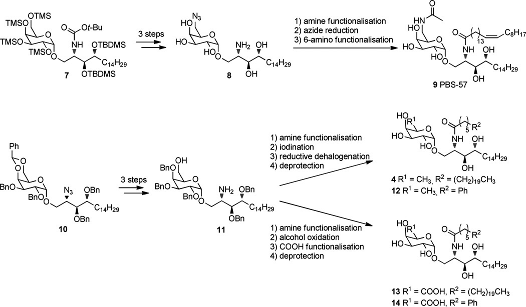 Scheme 1