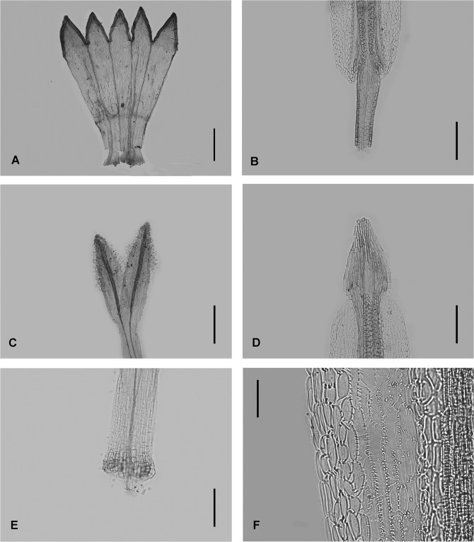 Fig 5