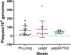 Figure 7—figure supplement 2.