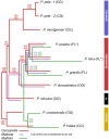 Fig. 6.